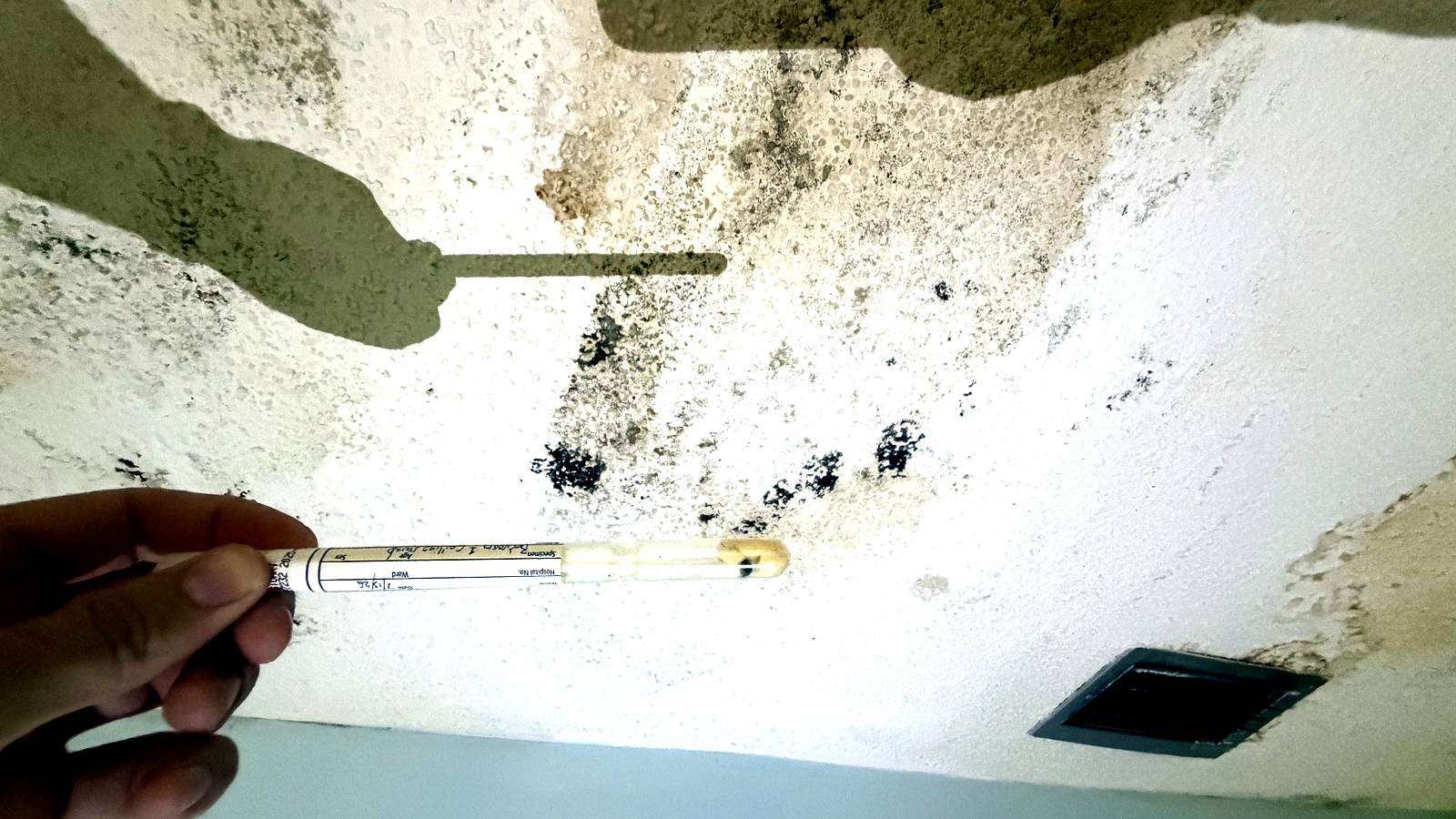 Un expert en moisissures prélève un échantillon par frottis de surface sur un plafond taché en Floride, près d'une bouche d'aération de la climatisation